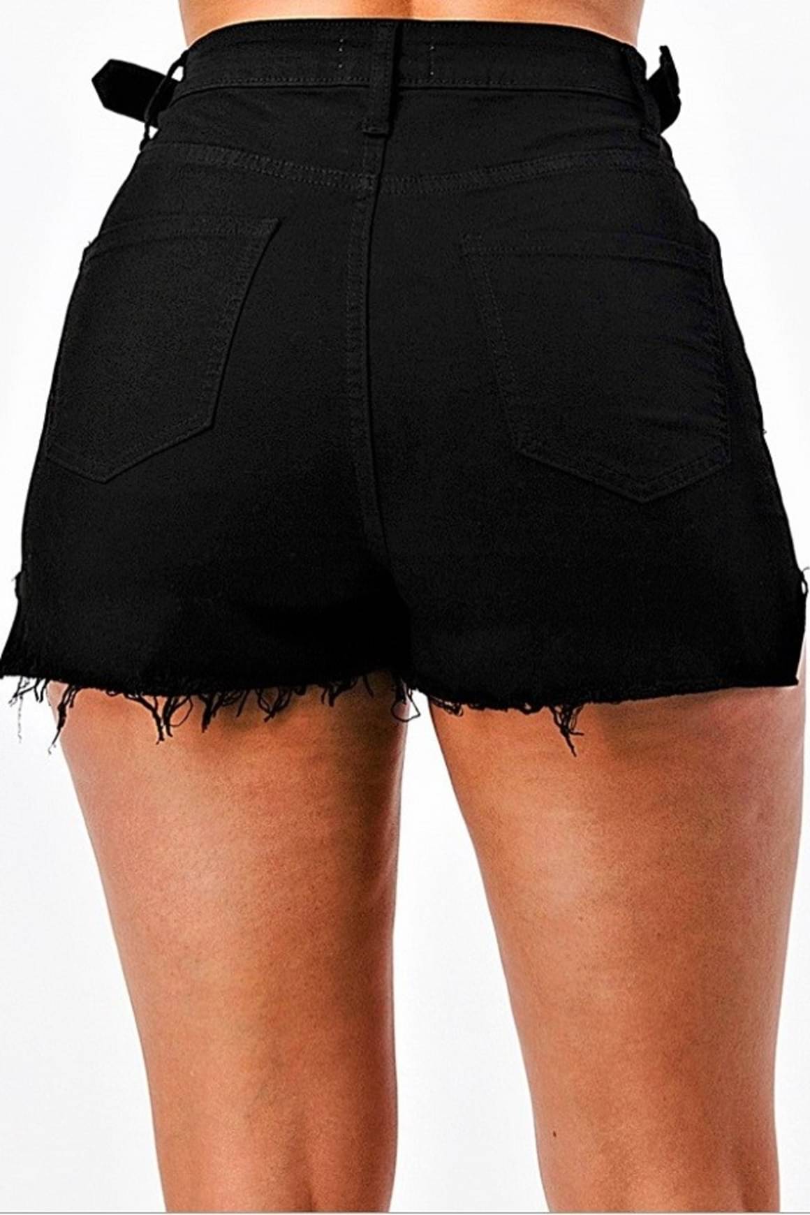 On the Lookout Shorts